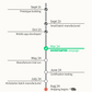 'Project Timeline' roadmap